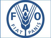 FAO Logo