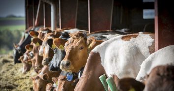 Arla Foods