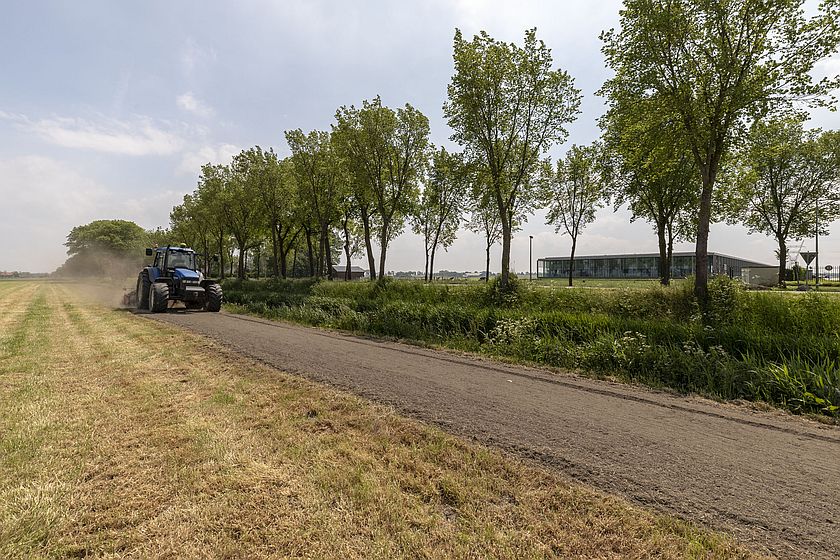 Beemster: Anlage eines Bienen-Blütenstreifens